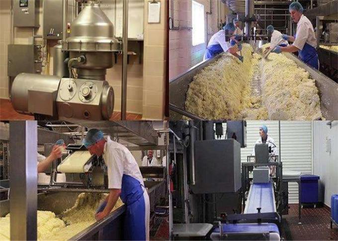 A linha de produção totalmente automático 1000L do iogurte Flavored a máquina de processamento do queijo